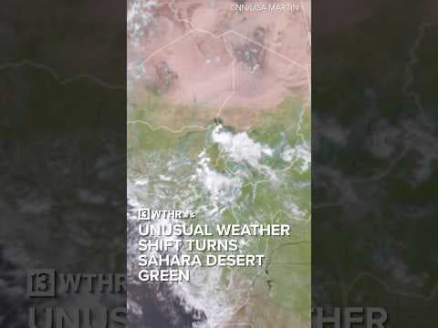 Unusual weather shift turns Sahara Desert green | Via: CNN