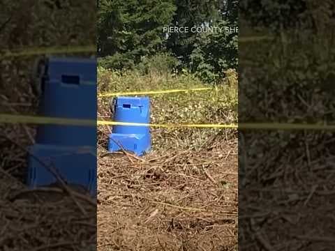 A cold case detective searches for answers after woman’s body found in yard waste bin in 2019