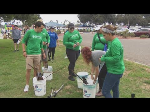 Working For Our Planet | Volunteer for an organization dedicated to our environment