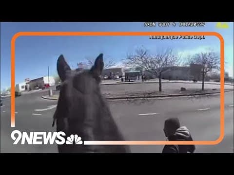 Shoplifter chased by police on horses in New Mexico