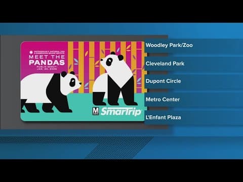 Metro debuts commemorative panda smarttrip cards