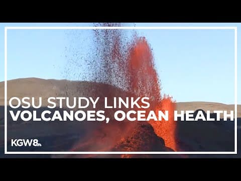 OSU researchers find link between volcanic activity, climate and ocean health