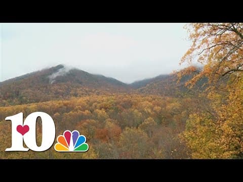 GSMNP studying when trees change