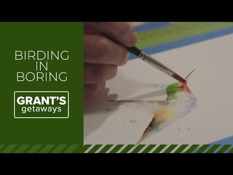 Backyard 'magical' hummingbirds help bring an artist’s vision to life