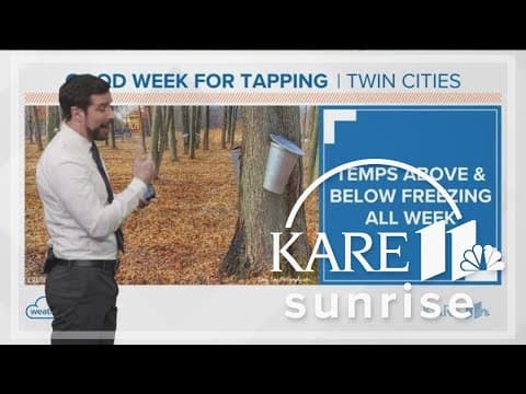 Great week ahead for tapping maple syrup