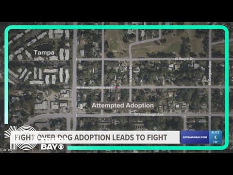 Attempted dog adoption turns into Tampa police investigating assault between 2 women