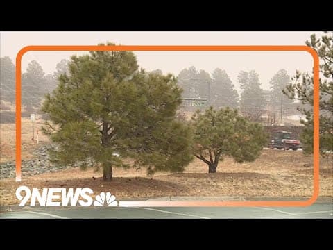 Weather data gathered by citizens helps improve forecast models