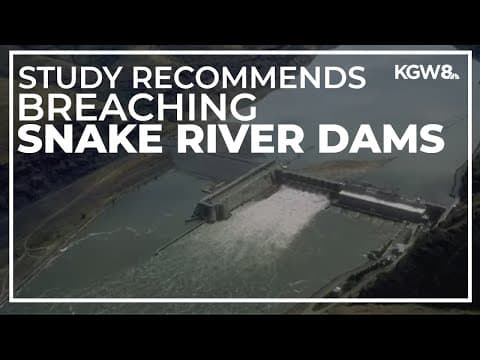 Study finds breaching Snake River dams would help fish recovery