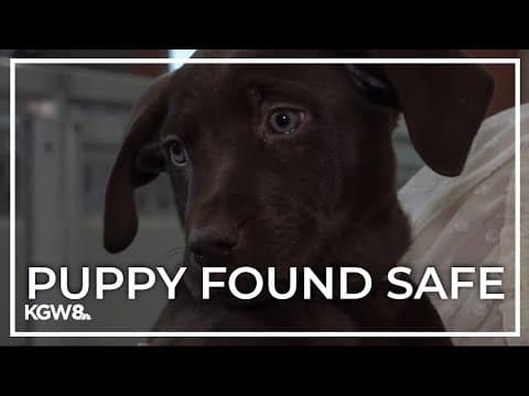 Puppy stolen from Oregon Humane Society returns