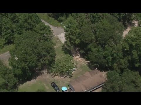 Investigation underway after report of dead dogs at rescue facility