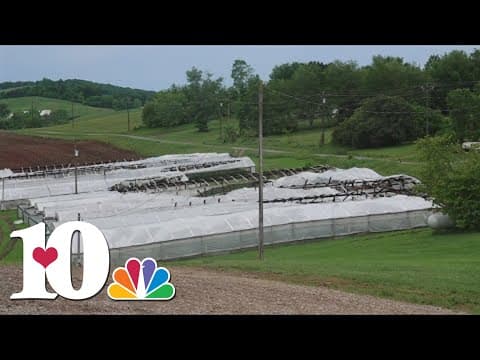 Grainger Co. farmer says severe storm damaged his crops, and neighbors are helping out