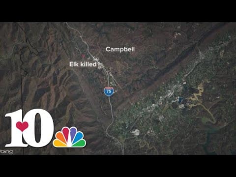 Man faces charges in Campbell Co. for illegally shooting and killing two elk