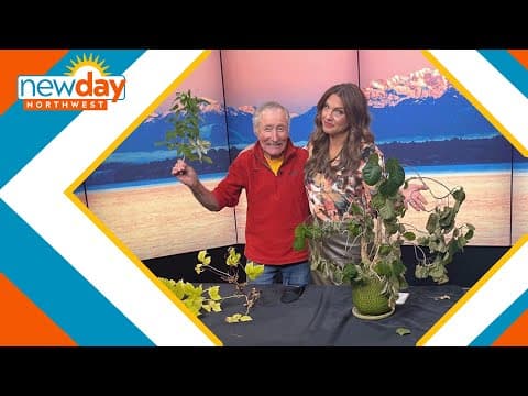 Master Gardener Ciscoe Morris answers your questions! - New Day NW