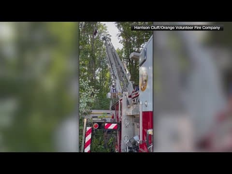 Firefighters rescue skydiver from tree in Virginia