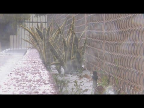 No, this isn't the coldest San Diego winter on record