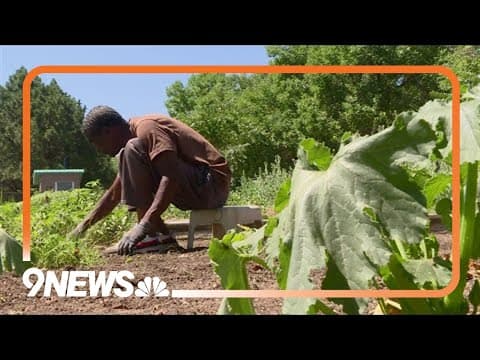 One man's garden helps community struggling with food access