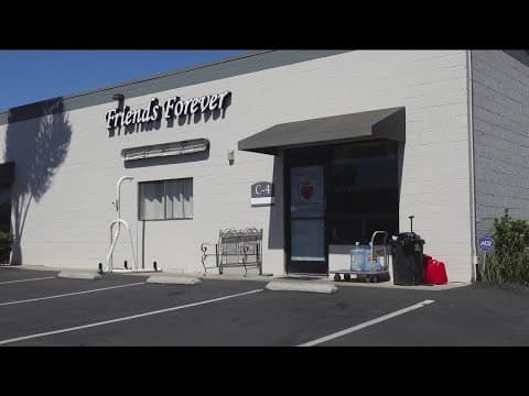 Sorrento Valley Pet Cemetery helps pet owners after cremation business closes unexpectedly