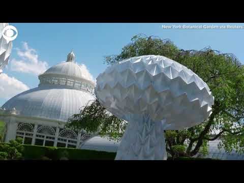 Alice's Adventures in Wonderland themed exhibition opens in New York City