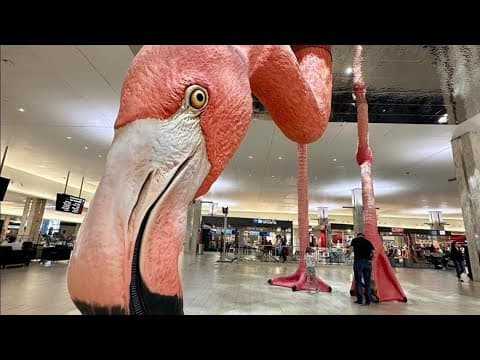 Study: Tampa International Airport ranks in top 3 large airports for customer satisfaction