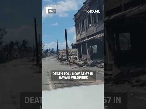Search continues for victims of Maui wildfires #shorts