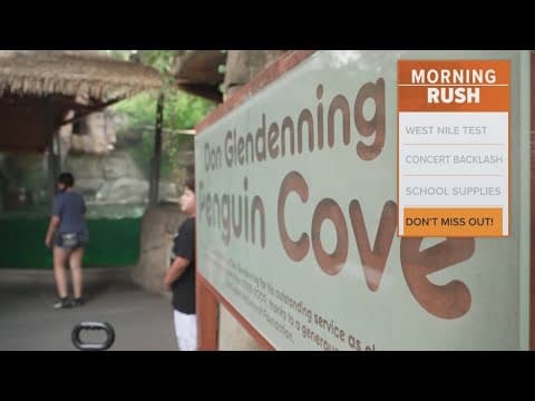 The first 'Dollar Day' and the Dallas Zoo saw major crowds