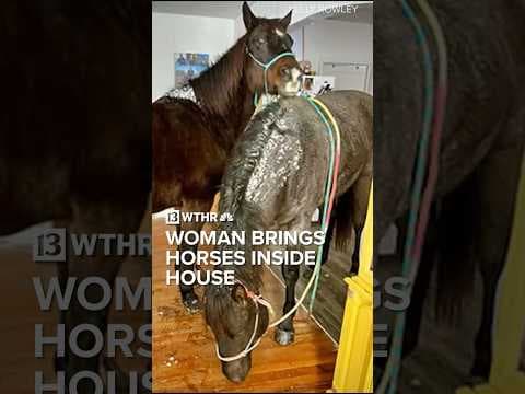 Woman brings her horses inside home to stay warm