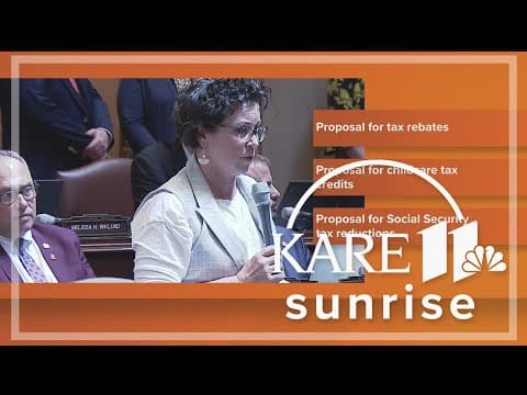 Minnesota Senate passes tax relief bill