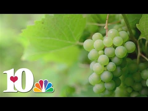 New Year's Traditions: How people around the world ring in the new year with food