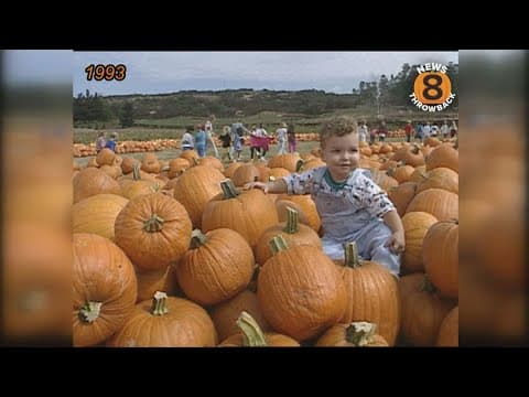 Pursuit of the perfect pumpkin at Bates Nut Farm in 1979 and 1993