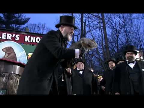 Groundhog Day: Punxsutawney Phil makes his prediction
