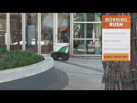 Could a robot drop off your next order?