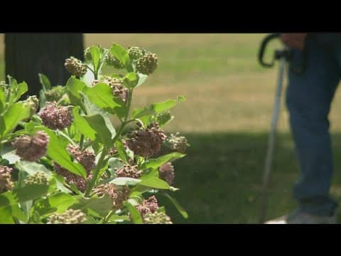 The worker shortage has affected Minnesota parks