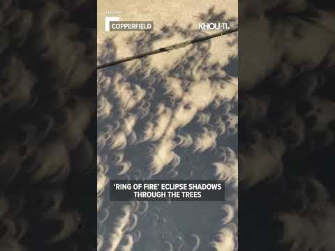 Shadows of Ring of Fire annular eclipse through the trees in Texas #shorts