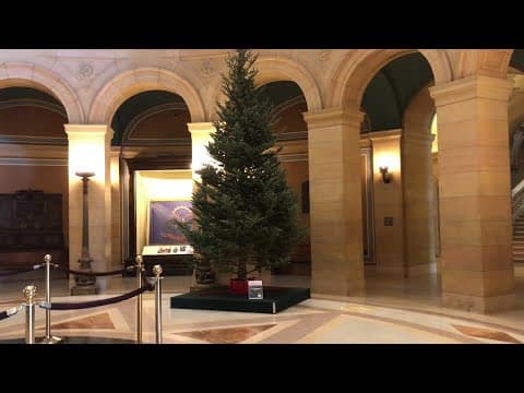 2022 State Capitol Christmas tree arrives in St. Paul