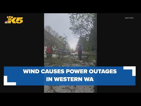 Wind causes scattered power outages, downed trees in western Washington