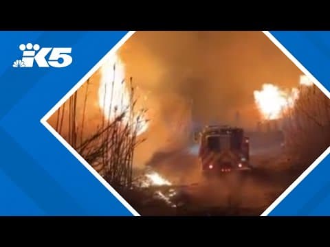 Wildfire update | Entire neighborhoods wiped off the map in LA County