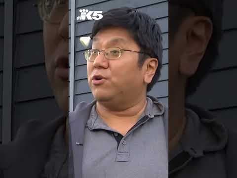 Rise in Kia and Hyundai thefts leaving customers uninsured