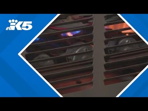 Judge rules against I-2066, Washington's natural gas initiative