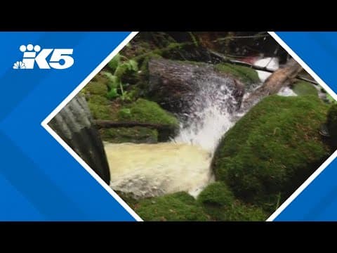 Washington tribes say federal funding for fish passages is ‘for everybody’