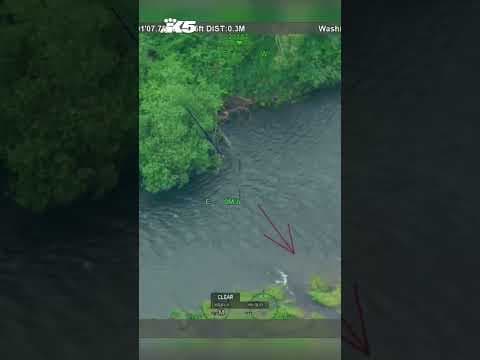 Suspect tries to elude Centralia police in stolen kayak