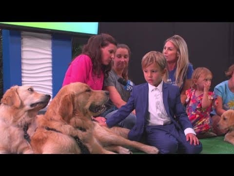 Working Fur Kids | Help Rady Children's launch a Resident Canine Therapy Program in San Diego