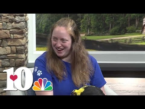 Meet the Pet of the Week: Gretchen