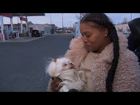16-year-old dog taken during carjacking reunited with owner | Extended Cut