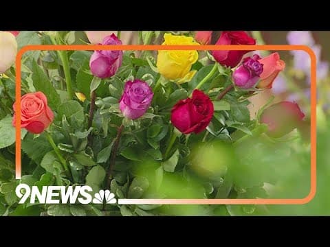 Flower shops busy with Valentine's Day rush
