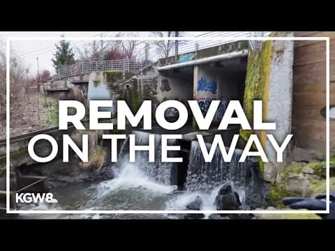 Metro grant funds Kellogg Dam removal to benefit habitat and community