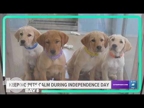 How to comfort your pets during Fourth of July fireworks