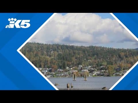 Up to 50,000 gallons of raw sewage released into Lake Whatcom