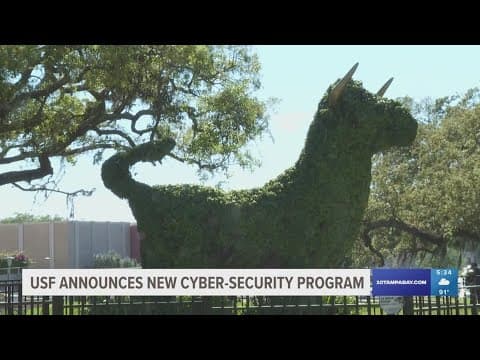 New cyber-security program at USF