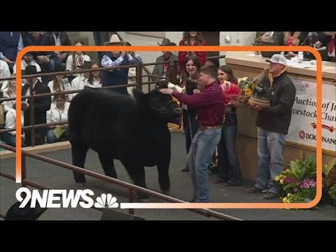 The 2024 Junior Livestock Auction at the National Western Stock Show