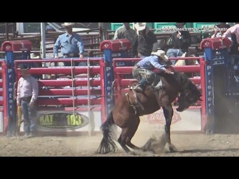 Lawsuit filed to stop San Diego rodeo from happening at Petco Park